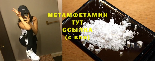 прущие грибы Верхний Тагил