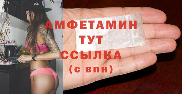 прущие грибы Верхний Тагил