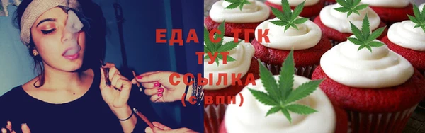 прущие грибы Верхний Тагил