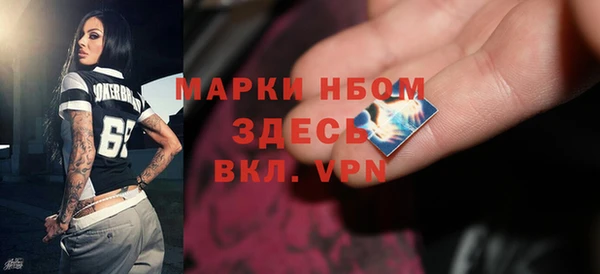 прущие грибы Верхний Тагил