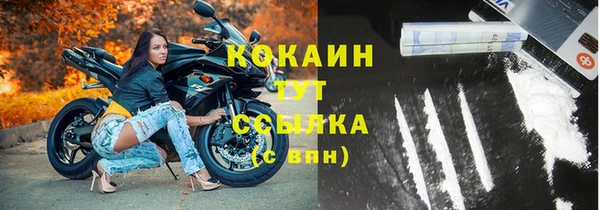 прущие грибы Верхний Тагил