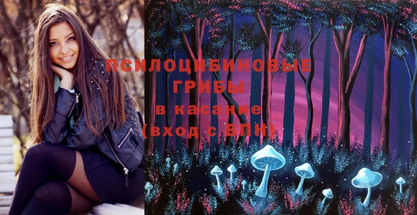прущие грибы Верхний Тагил
